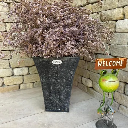 Prázdninový dům Aloha Hawaii Lak Békésszentandrás